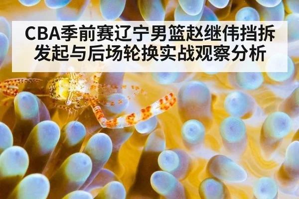 CBA季前赛辽宁男篮赵继伟挡拆发起与后场轮换实战观察分析