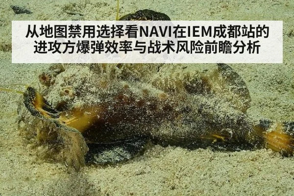 从地图禁用选择看NAVI在IEM成都站的进攻方爆弹效率与战术风险前瞻分析
